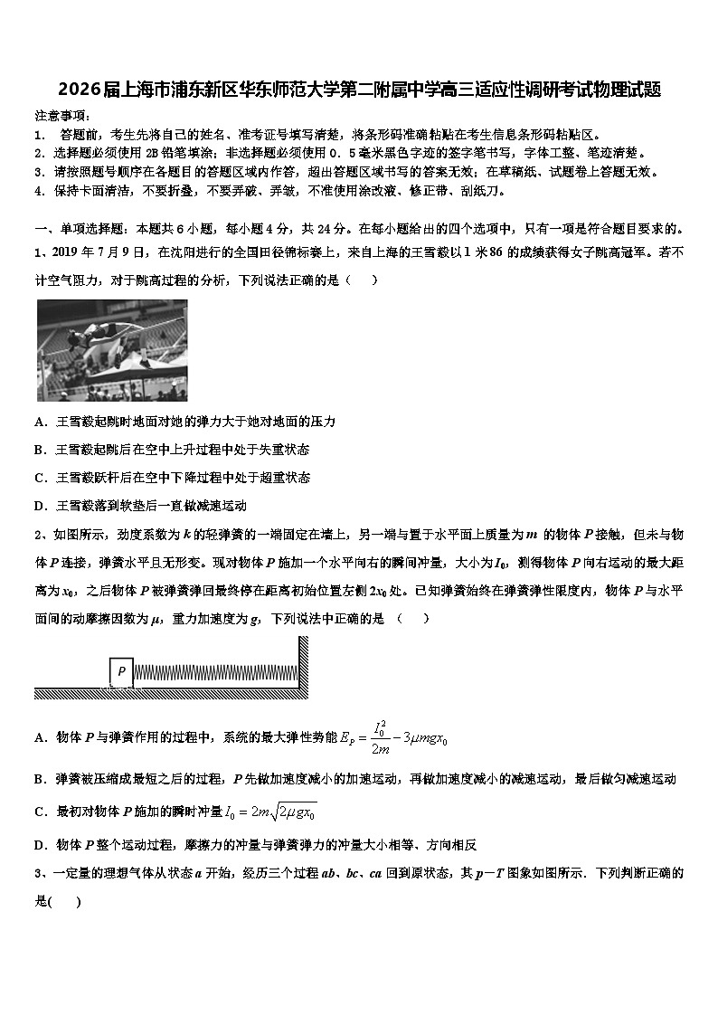 2026届上海市浦东新区华东师范大学第二附属中学高三适应性调研考试物理试题含解析第1页