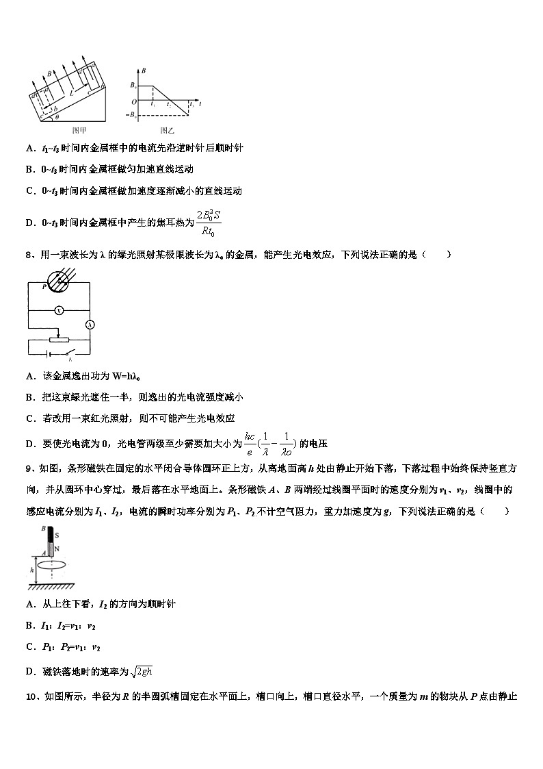 2026届上海市浦东新区华东师范大学第二附属中学高三适应性调研考试物理试题含解析第3页