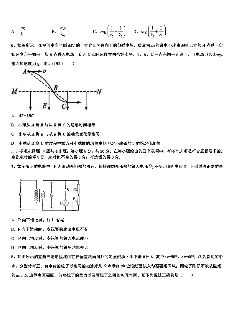 2026届上海市浦东新区高桥中学高三最后一卷物理试卷含解析第3页