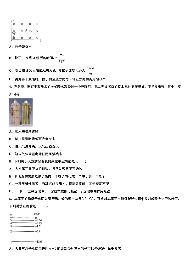 2026届上海市华师大三附中高三第二次模拟考试物理试卷含解析第2页