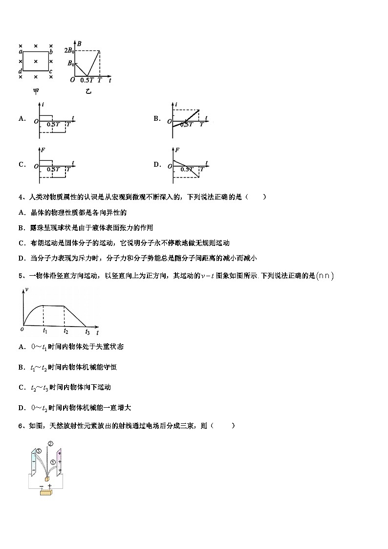 2026届上海市华东师范大学第一附属中学高三第五次模拟考试物理试卷含解析第2页