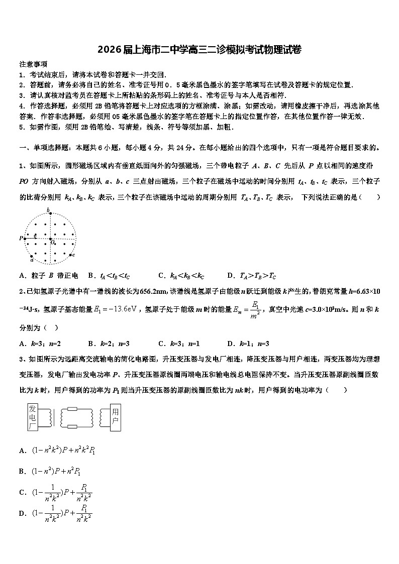 2026届上海市二中学高三二诊模拟考试物理试卷含解析第1页