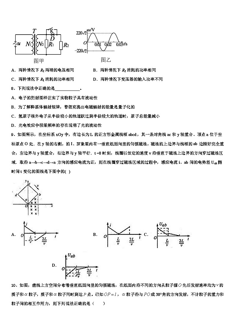 2026届上海市嘉定区第一中学高三第一次模拟考试物理试卷含解析第3页