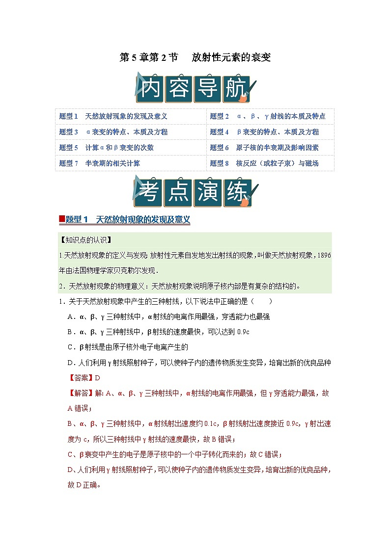 第5章第2节 放射性元素的衰变  高中物理选择性必修三同步复习讲义（教科版2019）（解析版）第1页