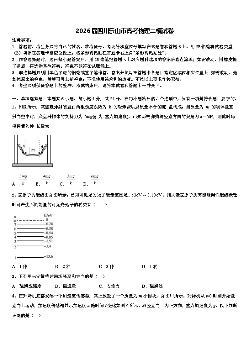 2026届四川乐山市高考物理二模试卷含解析第1页