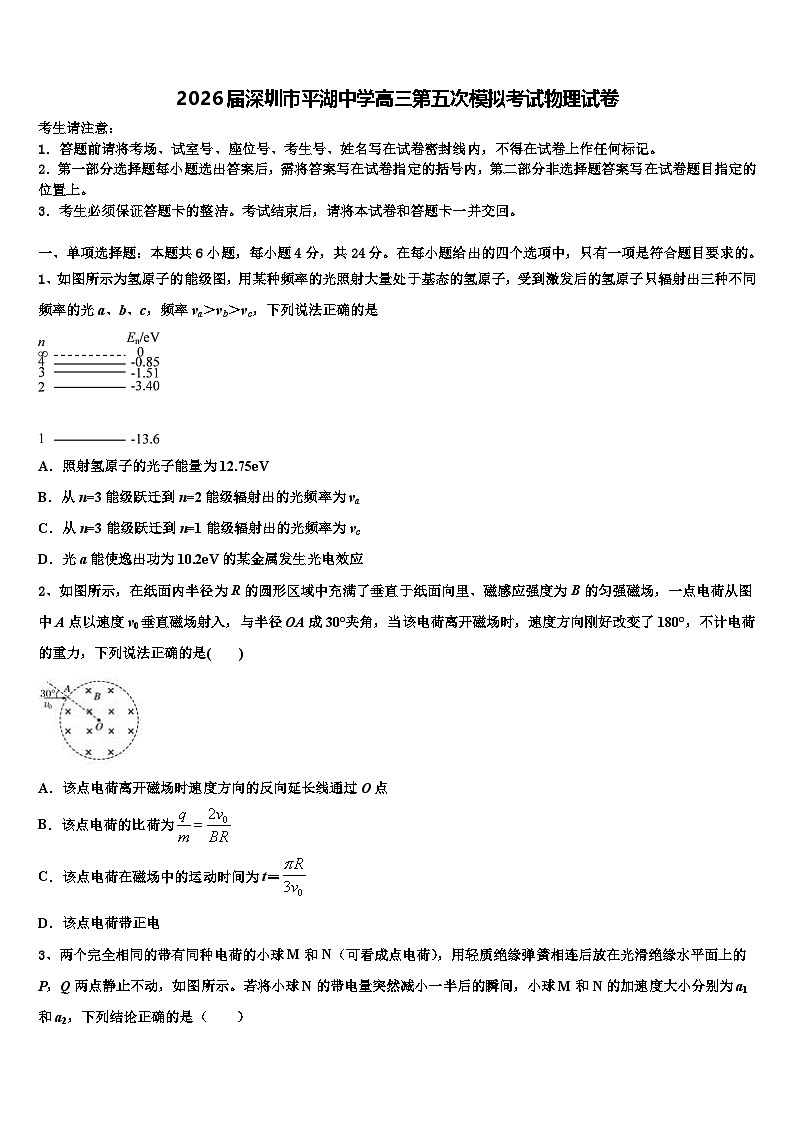 2026届深圳市平湖中学高三第五次模拟考试物理试卷含解析第1页