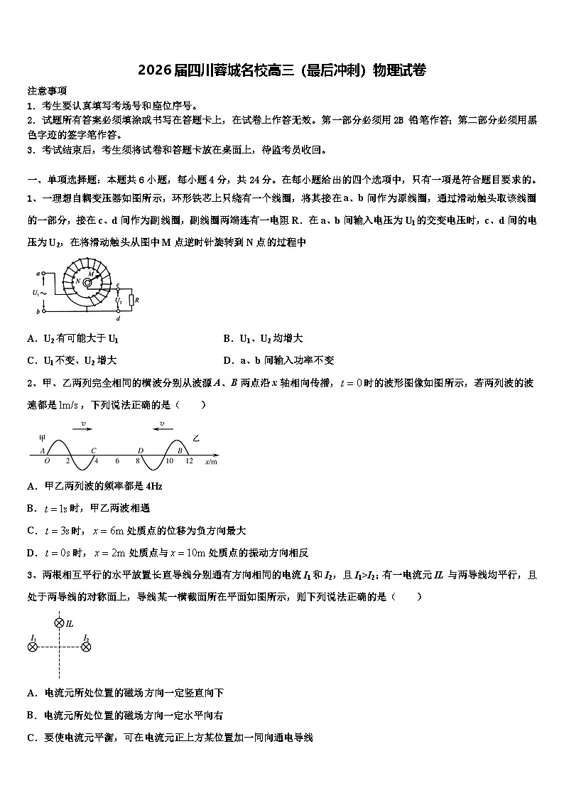 2026届四川蓉城名校高三（最后冲刺）物理试卷含解析第1页