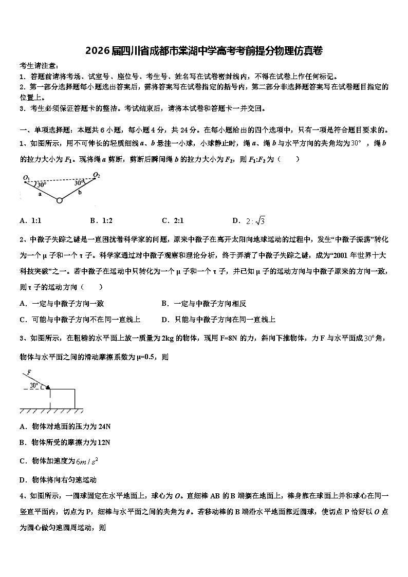2026届四川省成都市棠湖中学高考考前提分物理仿真卷含解析第1页