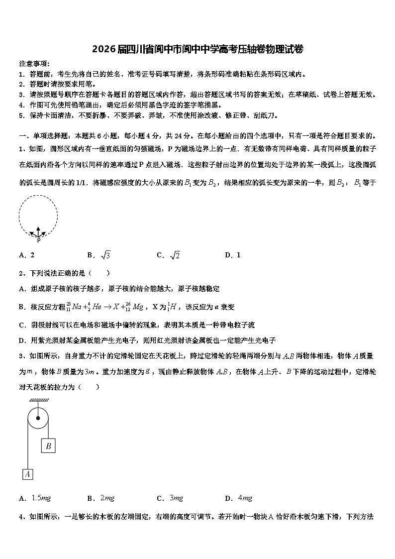 2026届四川省阆中市阆中中学高考压轴卷物理试卷含解析第1页