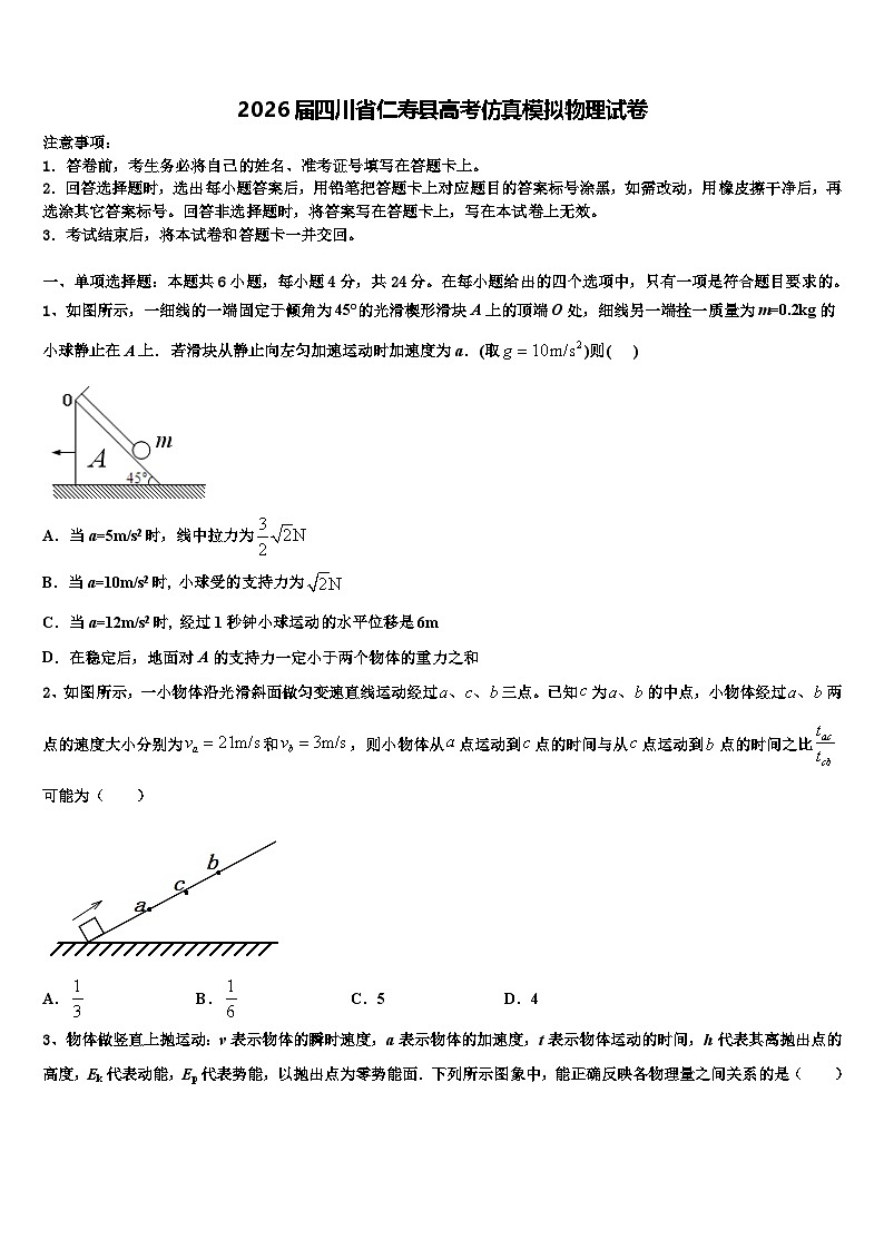 2026届四川省仁寿县高考仿真模拟物理试卷含解析第1页