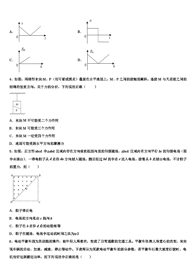 2026届四川省仁寿县高考仿真模拟物理试卷含解析第2页