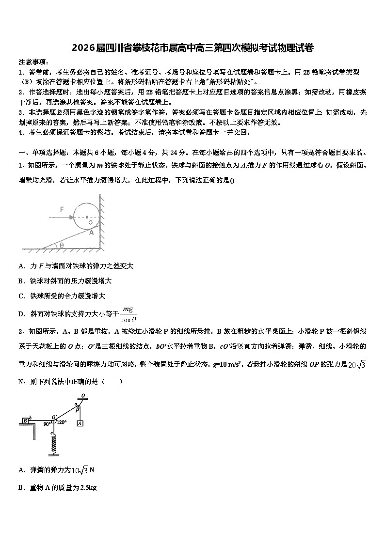 2026届四川省攀枝花市属高中高三第四次模拟考试物理试卷含解析第1页