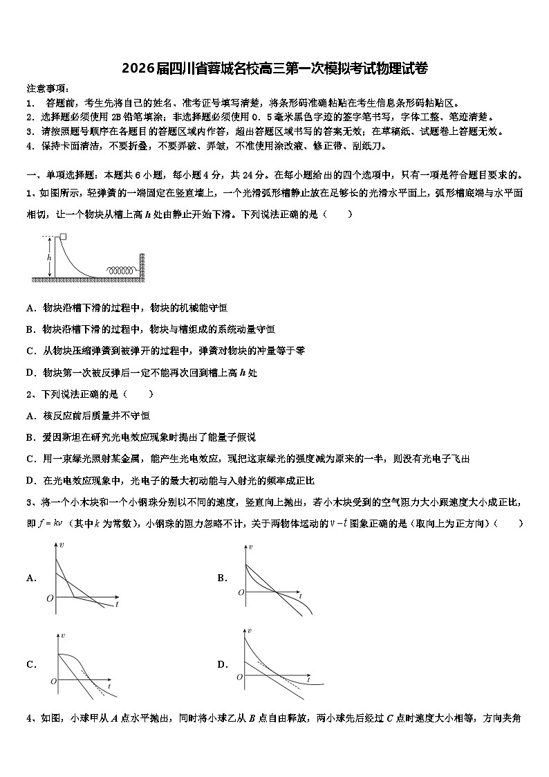 2026届四川省蓉城名校高三第一次模拟考试物理试卷含解析第1页