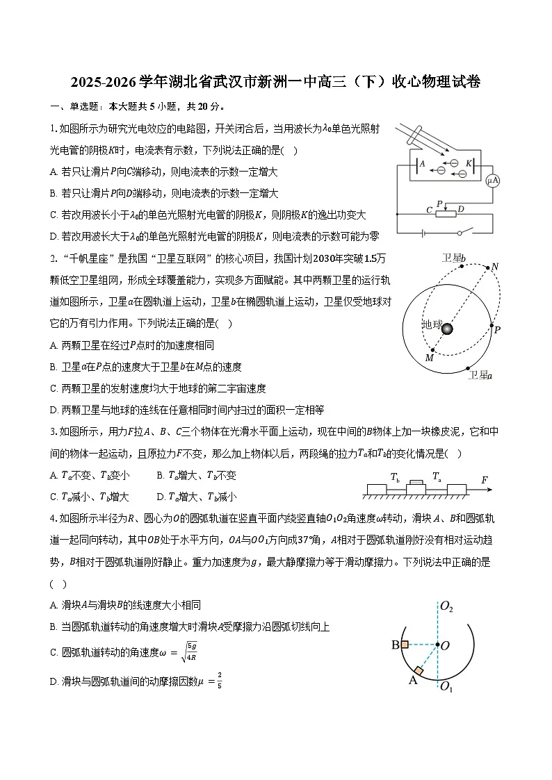 2025-2026学年湖北省武汉市新洲一中高三（下）收心物理试卷（含解析）第1页