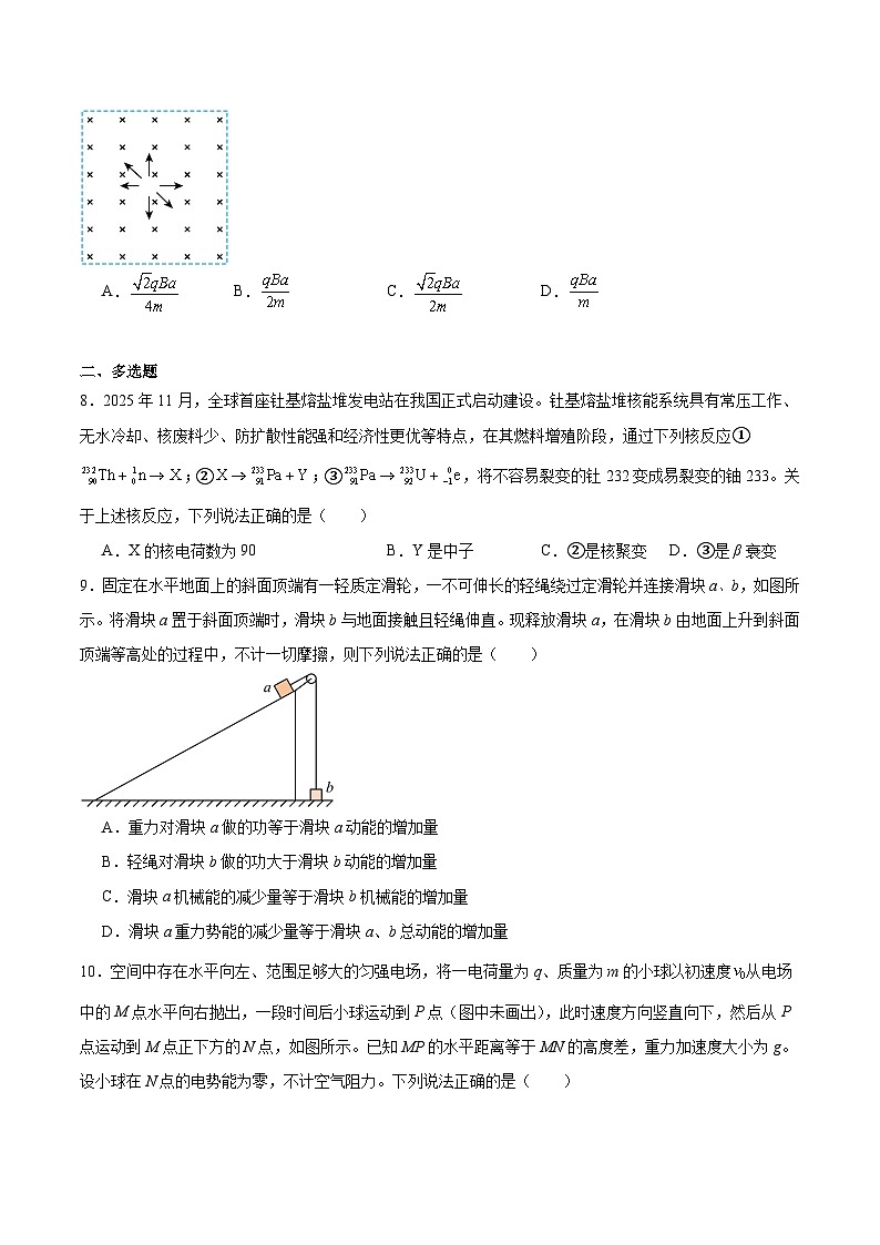 贵州省贵阳市2026届高三下学期适应性考试（一）物理试卷（含解析）第3页