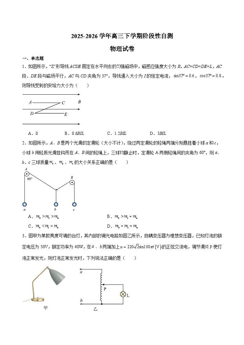福建省百校2026届高三下学期开学阶段性自测 物理试卷（含解析）第1页