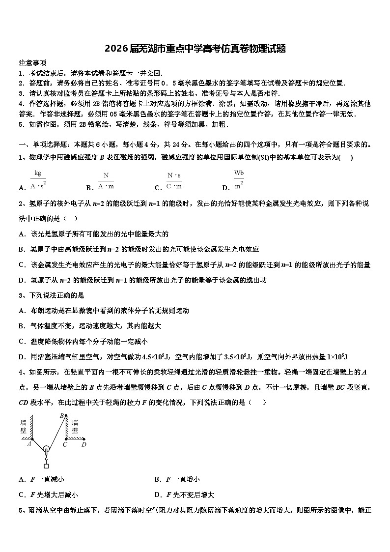 2026届芜湖市重点中学高考仿真卷物理试题含解析第1页