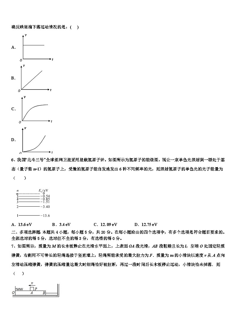 2026届芜湖市重点中学高考仿真卷物理试题含解析第2页