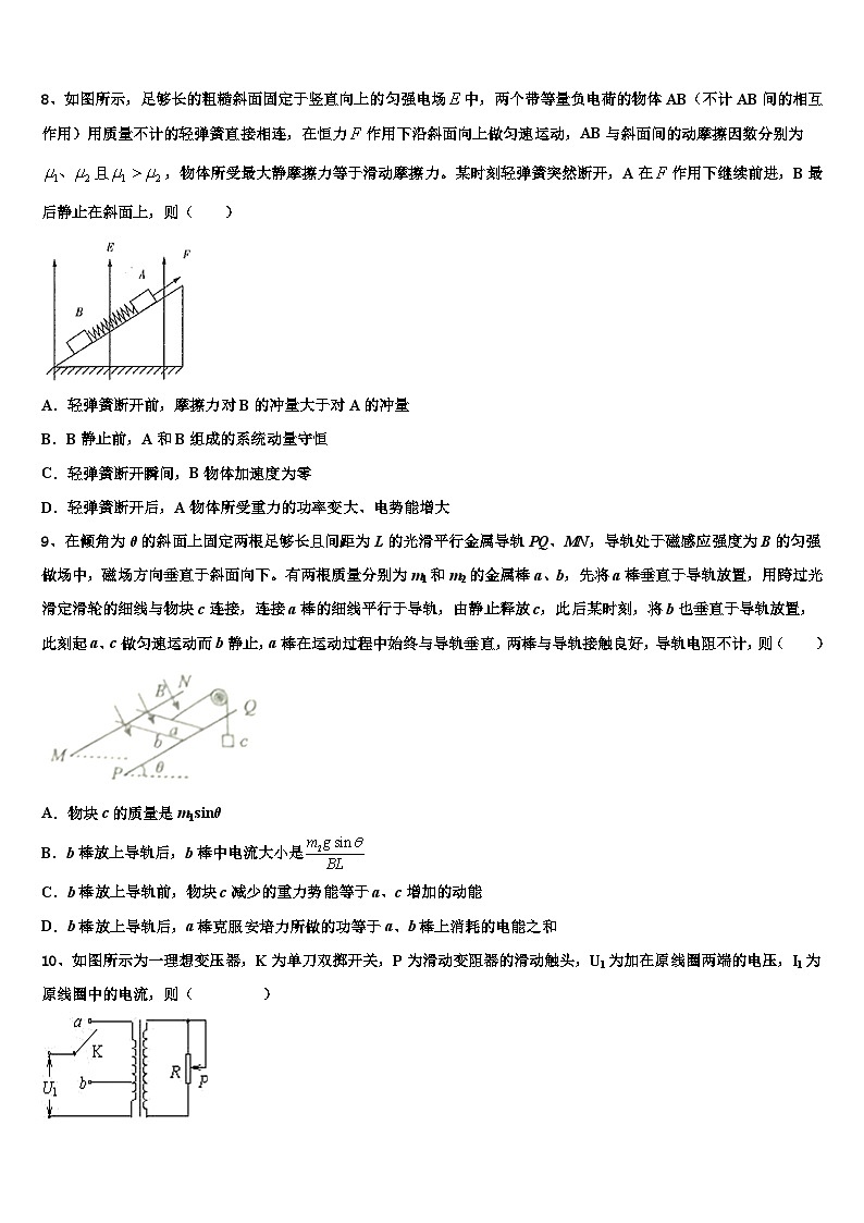 2026届西藏林芝地区一中高考全国统考预测密卷物理试卷含解析第3页