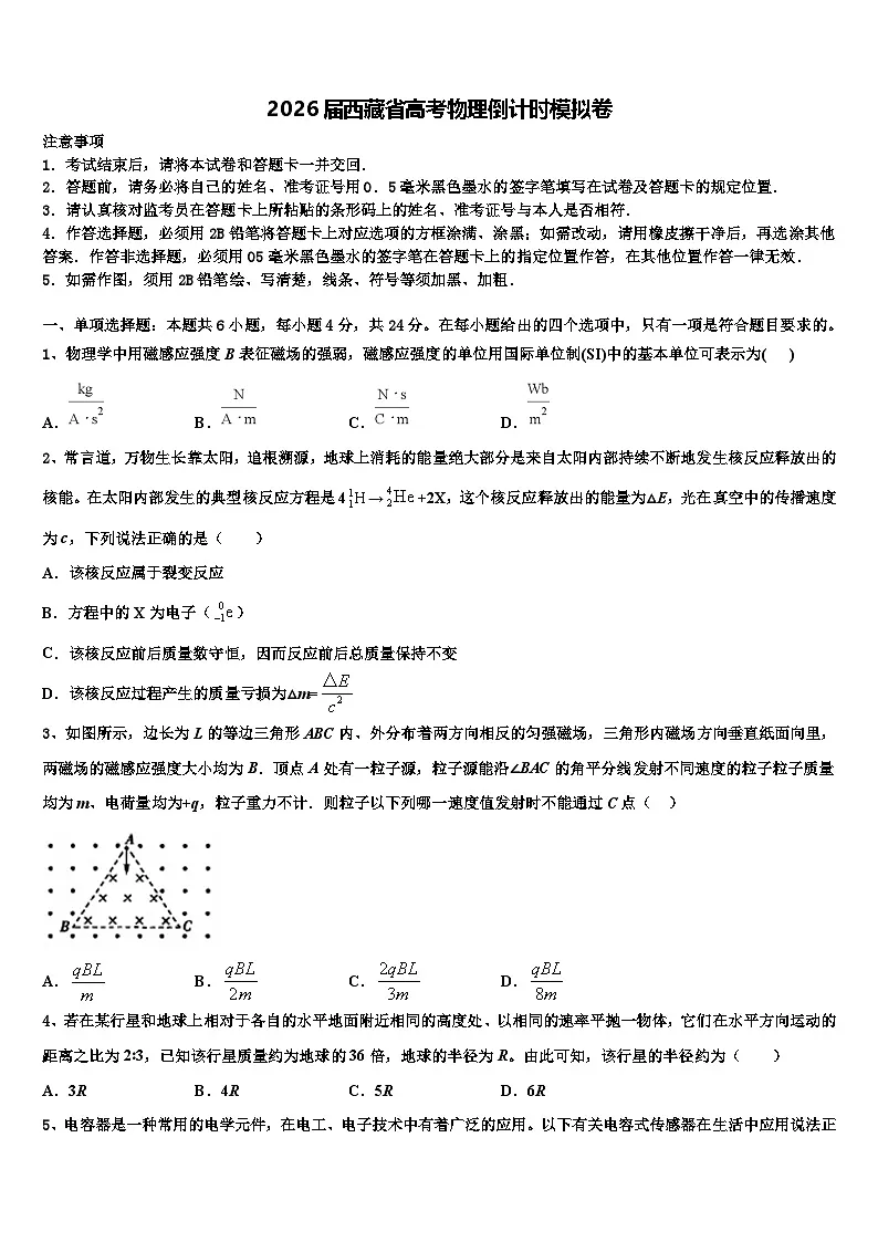 2026届西藏省高考物理倒计时模拟卷含解析第1页