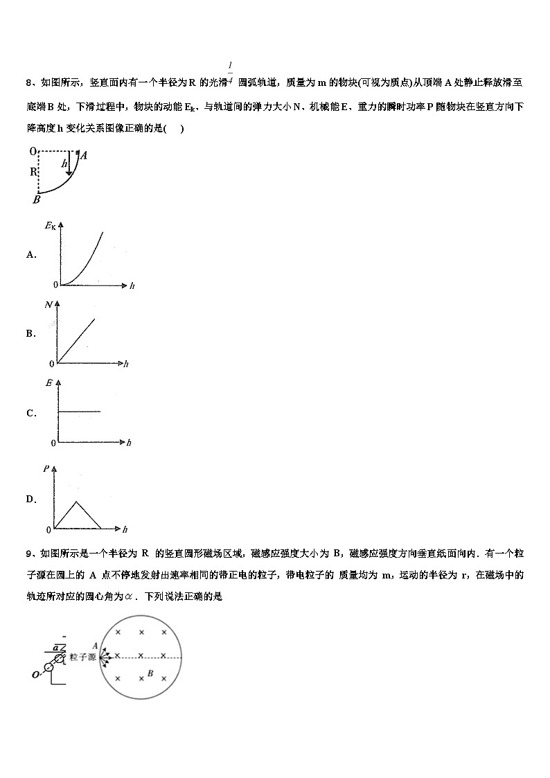 2026届西南名校高考适应性考试物理试卷含解析第3页