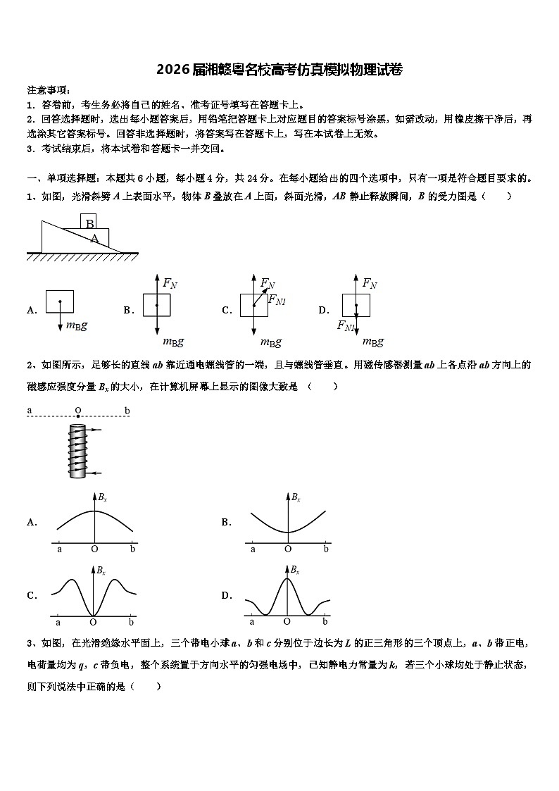 2026届湘赣粤名校高考仿真模拟物理试卷含解析第1页