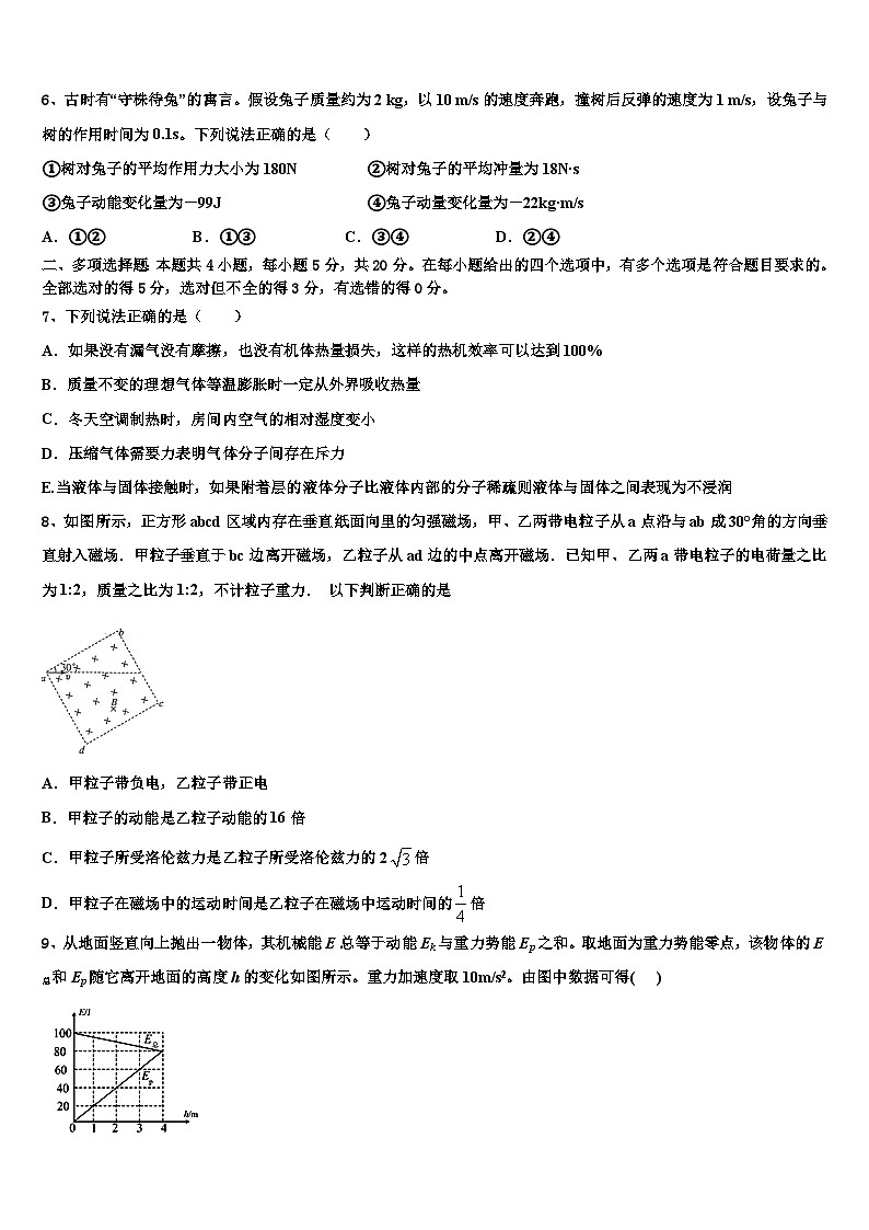 2026届新疆维吾尔自治区喀什第二中学高考仿真卷物理试卷含解析第3页