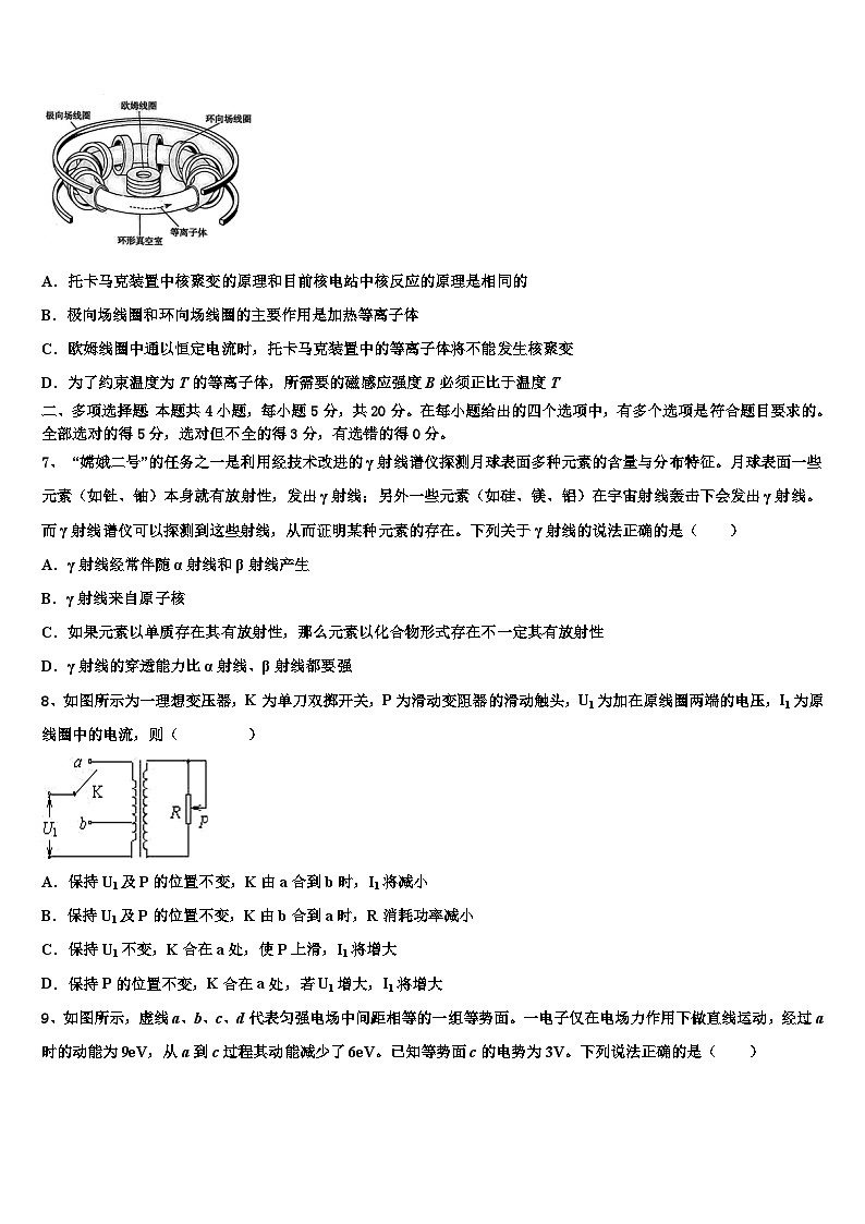 2026届云南省楚雄州双柏县一中高三下学期联合考试物理试题含解析第3页
