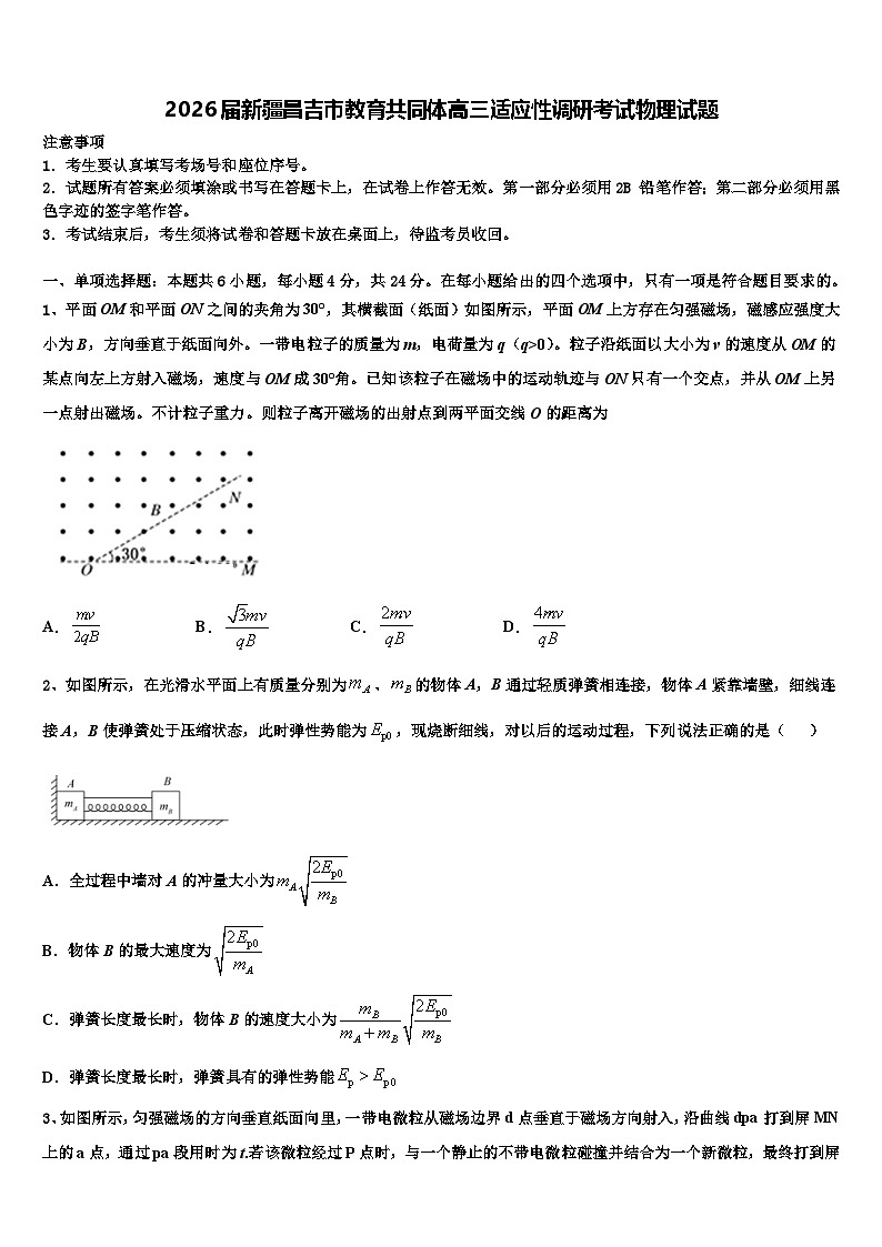 2026届新疆昌吉市教育共同体高三适应性调研考试物理试题含解析第1页