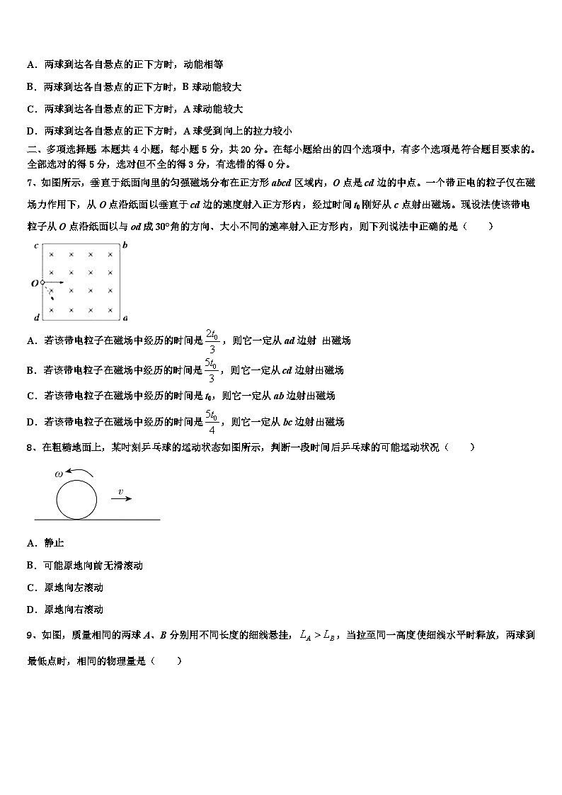 2026届西藏自治区拉萨中学高三压轴卷物理试卷含解析第3页