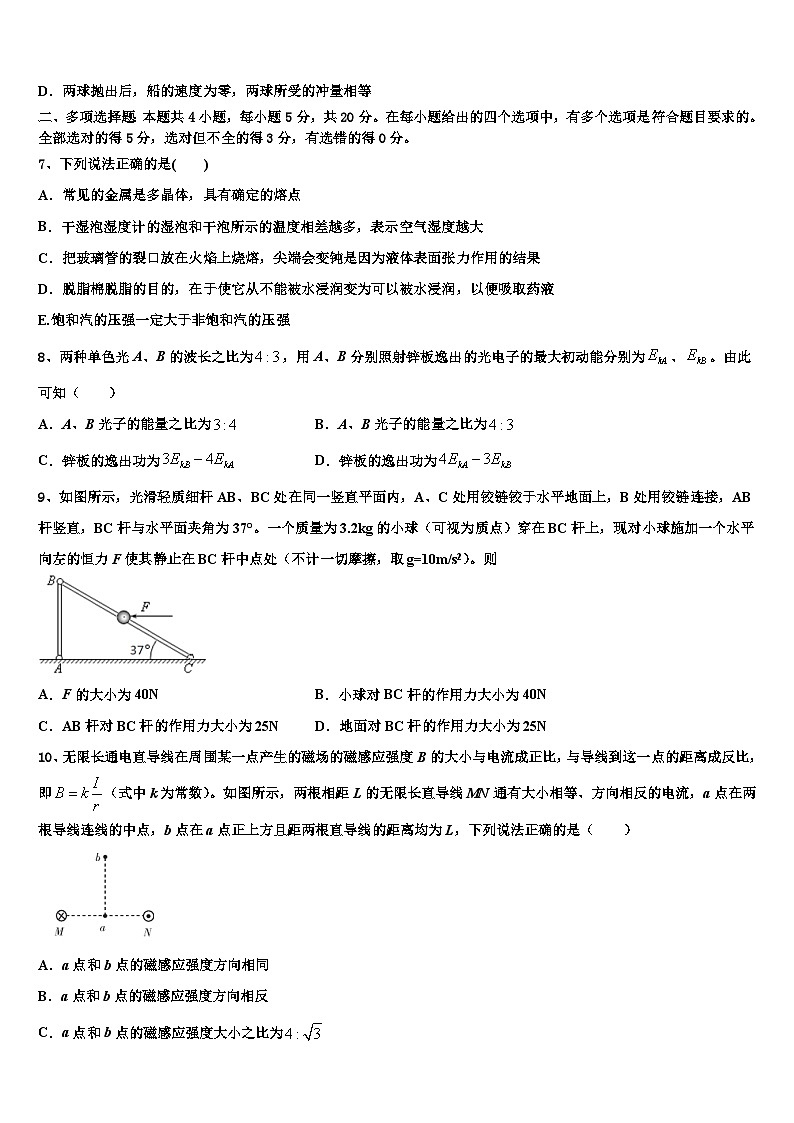 2026届西藏拉萨市那曲二中高三第四次模拟考试物理试卷含解析第3页
