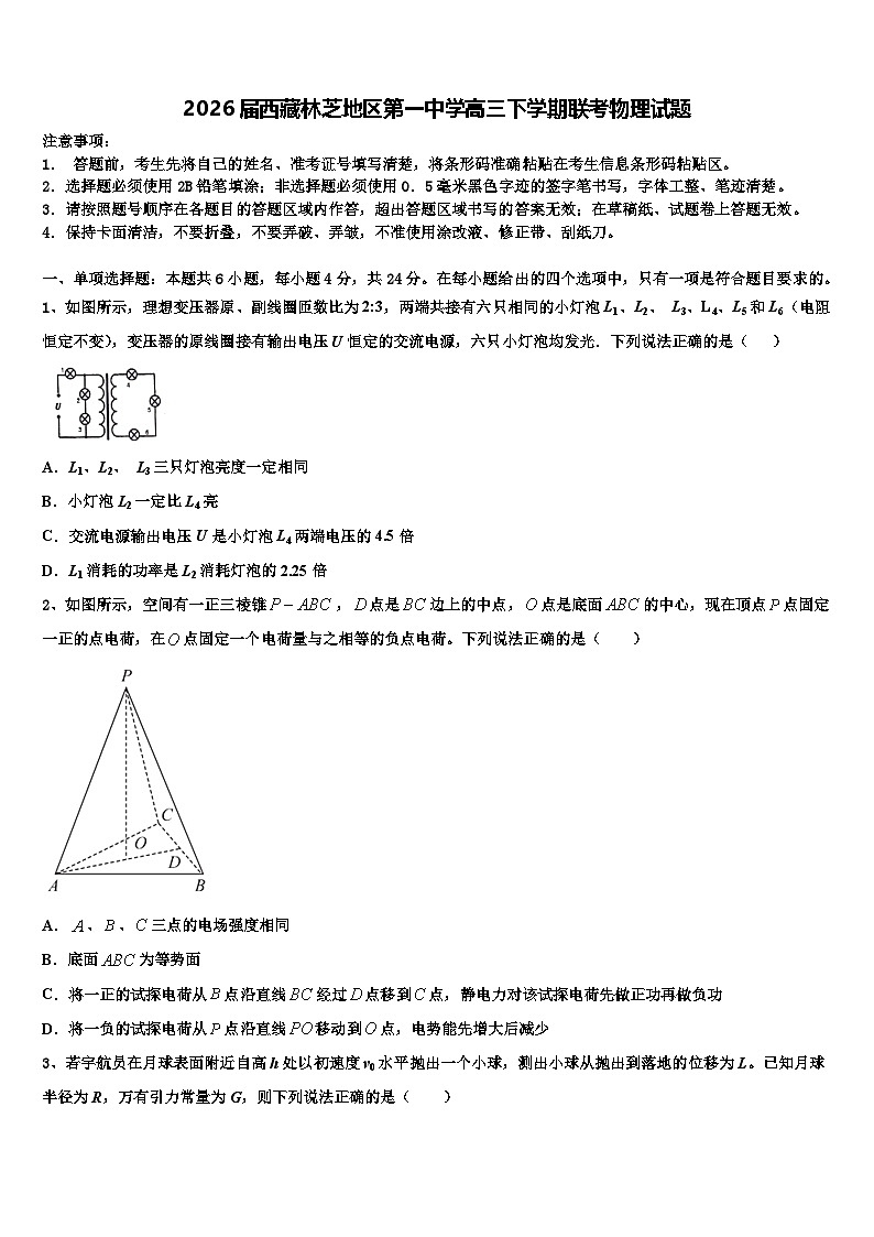 2026届西藏林芝地区第一中学高三下学期联考物理试题含解析第1页