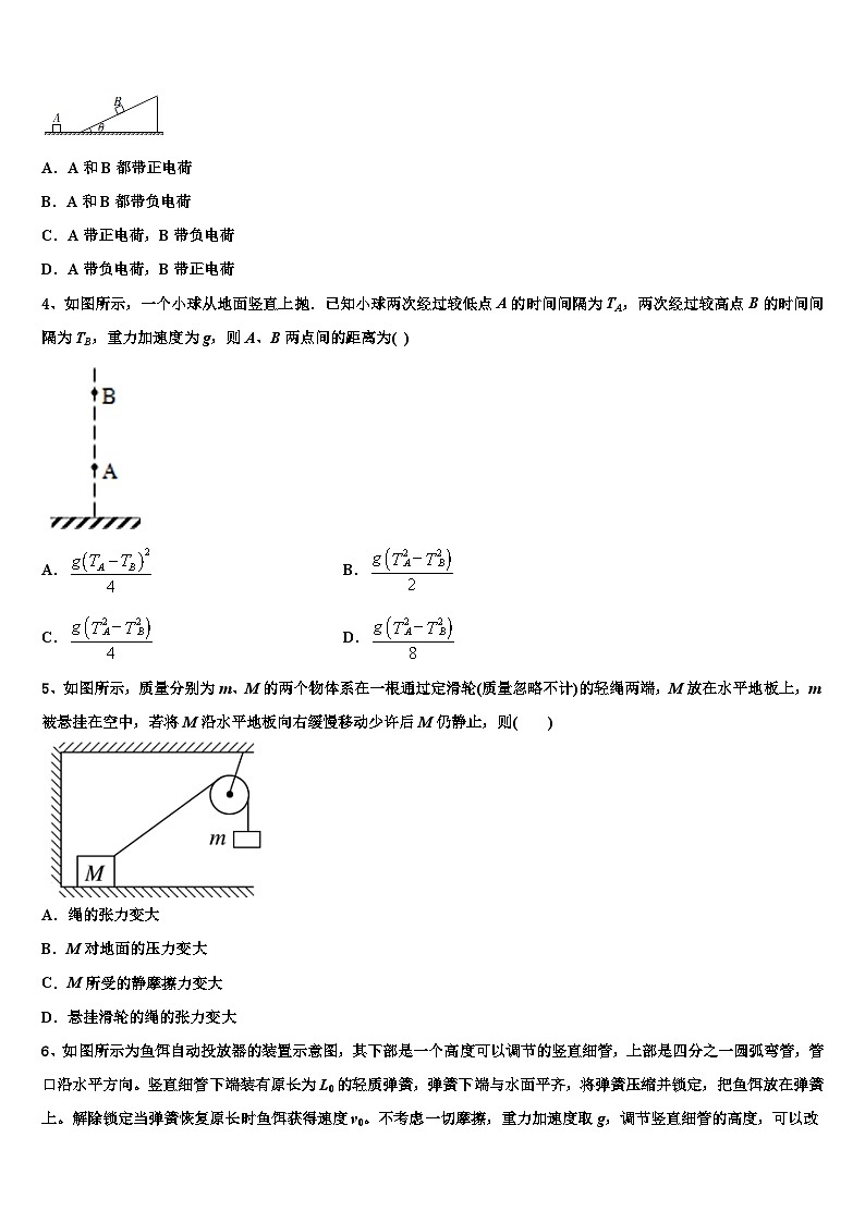 2026届铜川市重点中学高三第一次模拟考试物理试卷含解析第2页