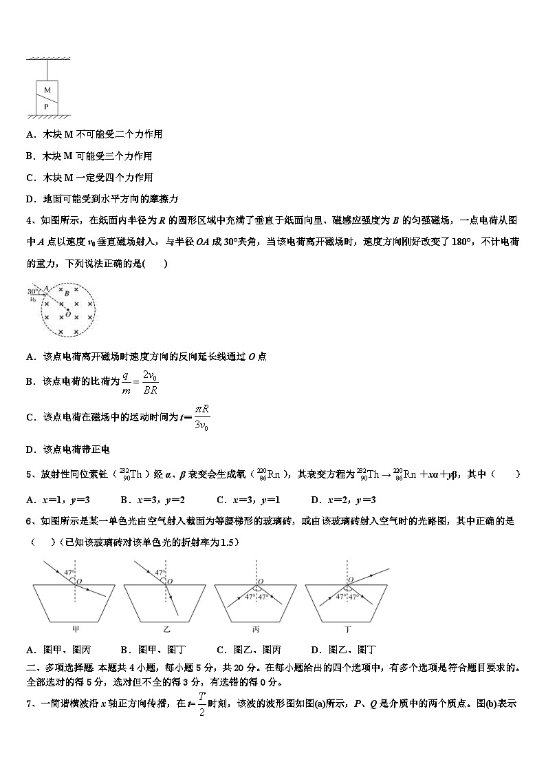 2026届天津市十二区县重点学校高三下学期第五次调研考试物理试题含解析第2页