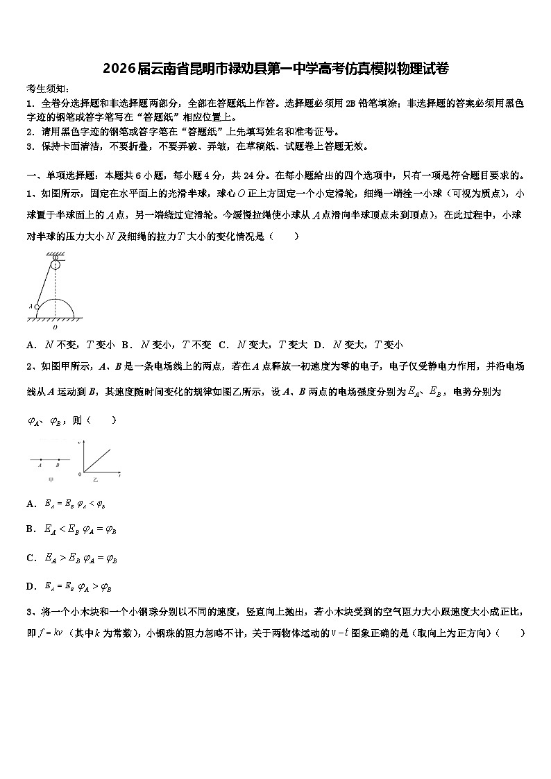 2026届云南省昆明市禄劝县第一中学高考仿真模拟物理试卷含解析第1页