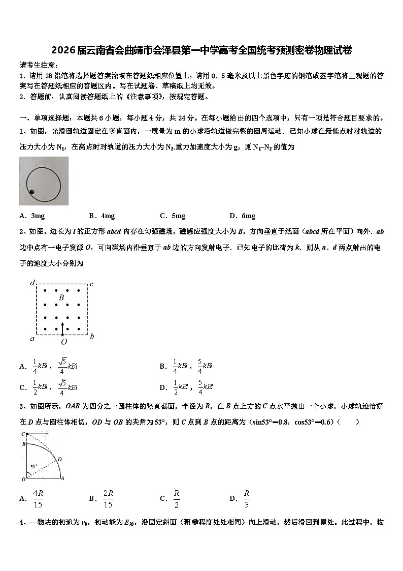 2026届云南省会曲靖市会泽县第一中学高考全国统考预测密卷物理试卷含解析第1页