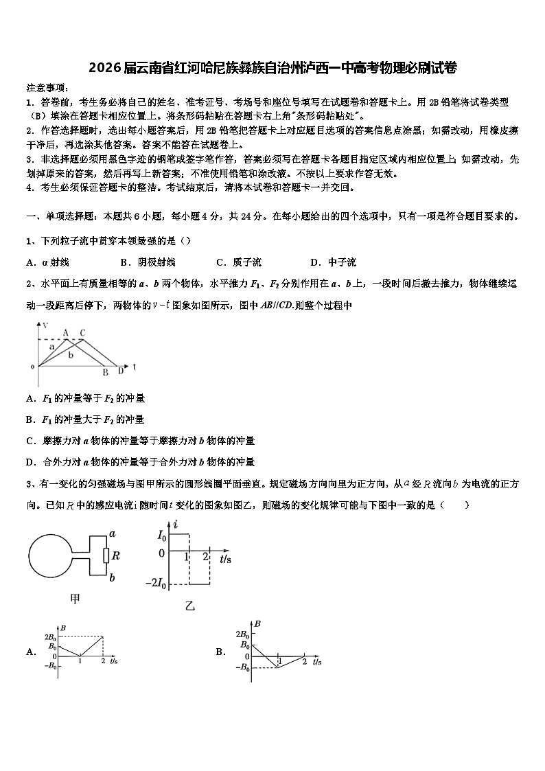 2026届云南省红河哈尼族彝族自治州泸西一中高考物理必刷试卷含解析第1页