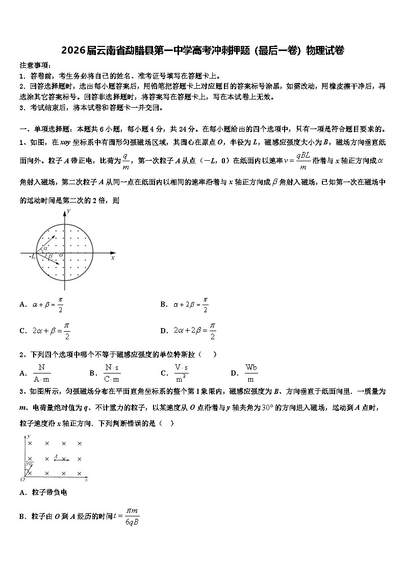 2026届云南省勐腊县第一中学高考冲刺押题（最后一卷）物理试卷含解析第1页