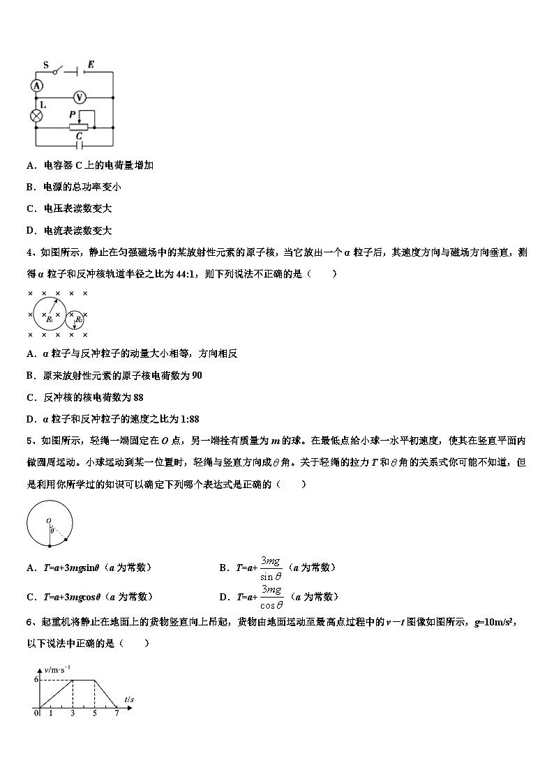 2026届云南省云南师范大学附属中学高考仿真模拟物理试卷含解析第2页
