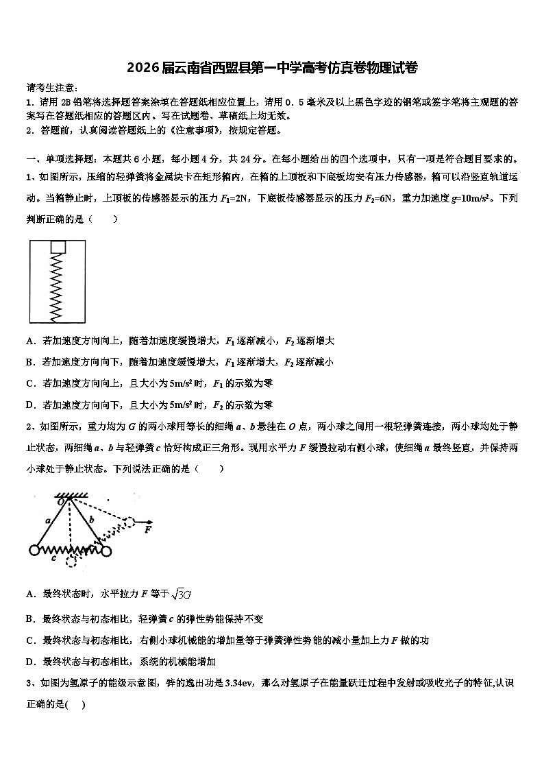 2026届云南省西盟县第一中学高考仿真卷物理试卷含解析第1页
