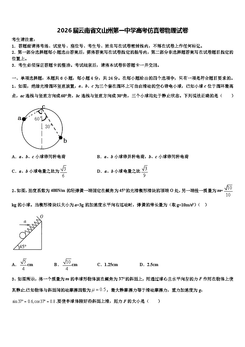 2026届云南省文山州第一中学高考仿真卷物理试卷含解析第1页