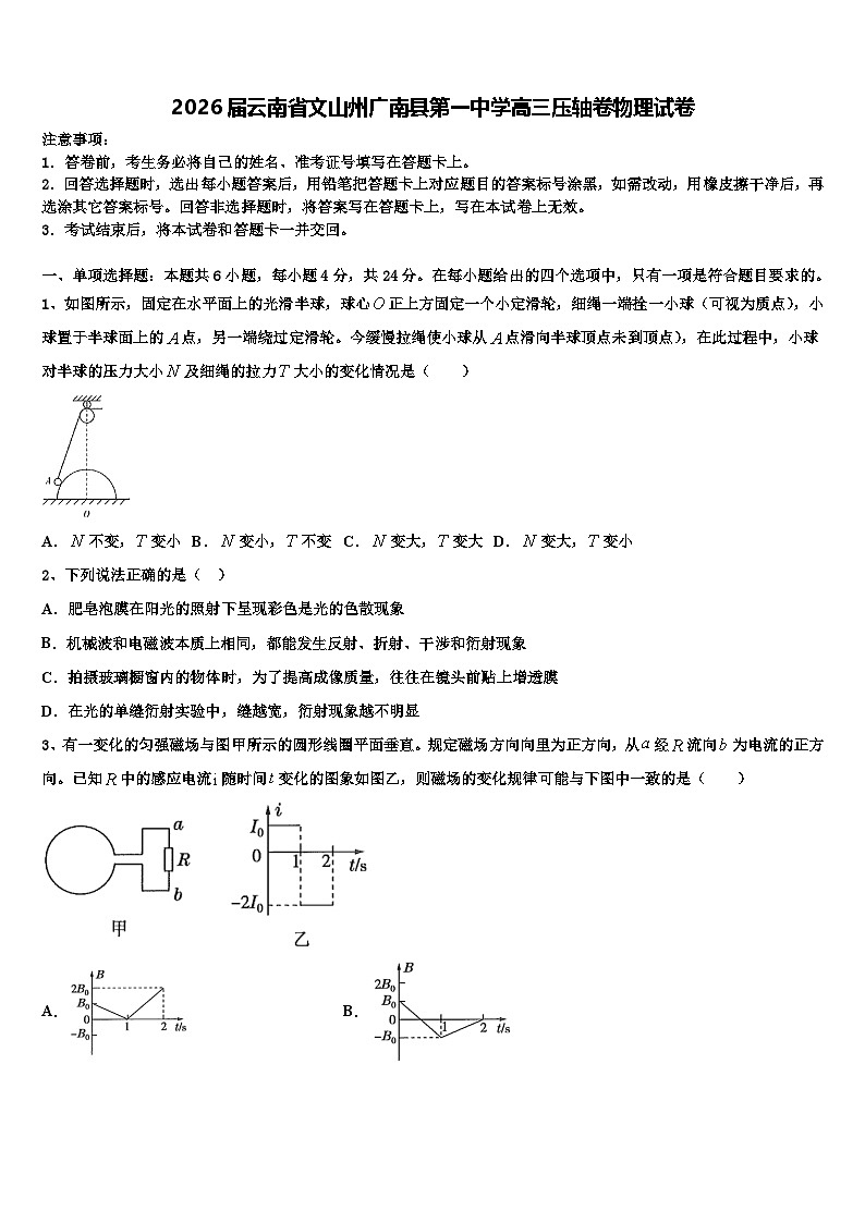 2026届云南省文山州广南县第一中学高三压轴卷物理试卷含解析第1页