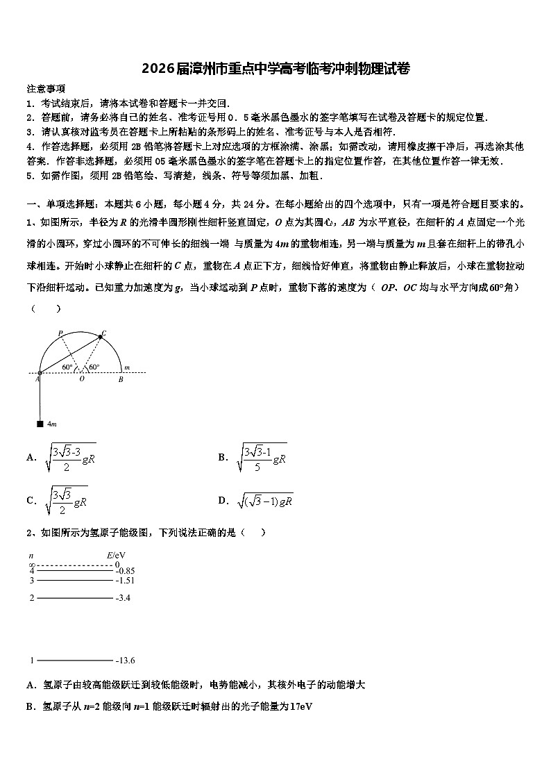 2026届漳州市重点中学高考临考冲刺物理试卷含解析第1页