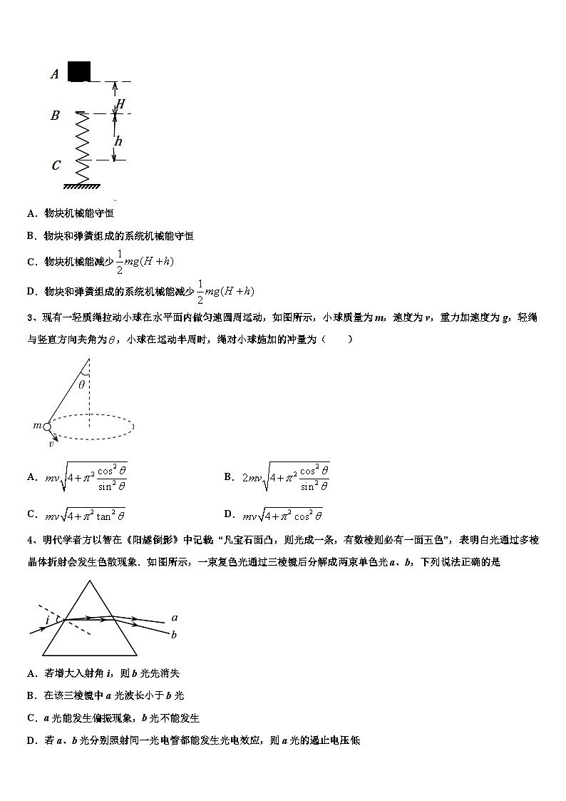 2026届漳州市重点中学高考压轴卷物理试卷含解析第2页