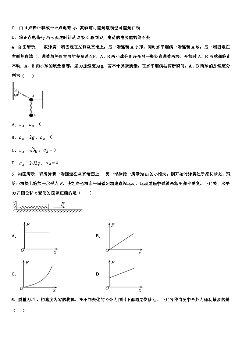 2026届云南省玉溪市元江第一中学高三一诊考试物理试卷含解析第2页