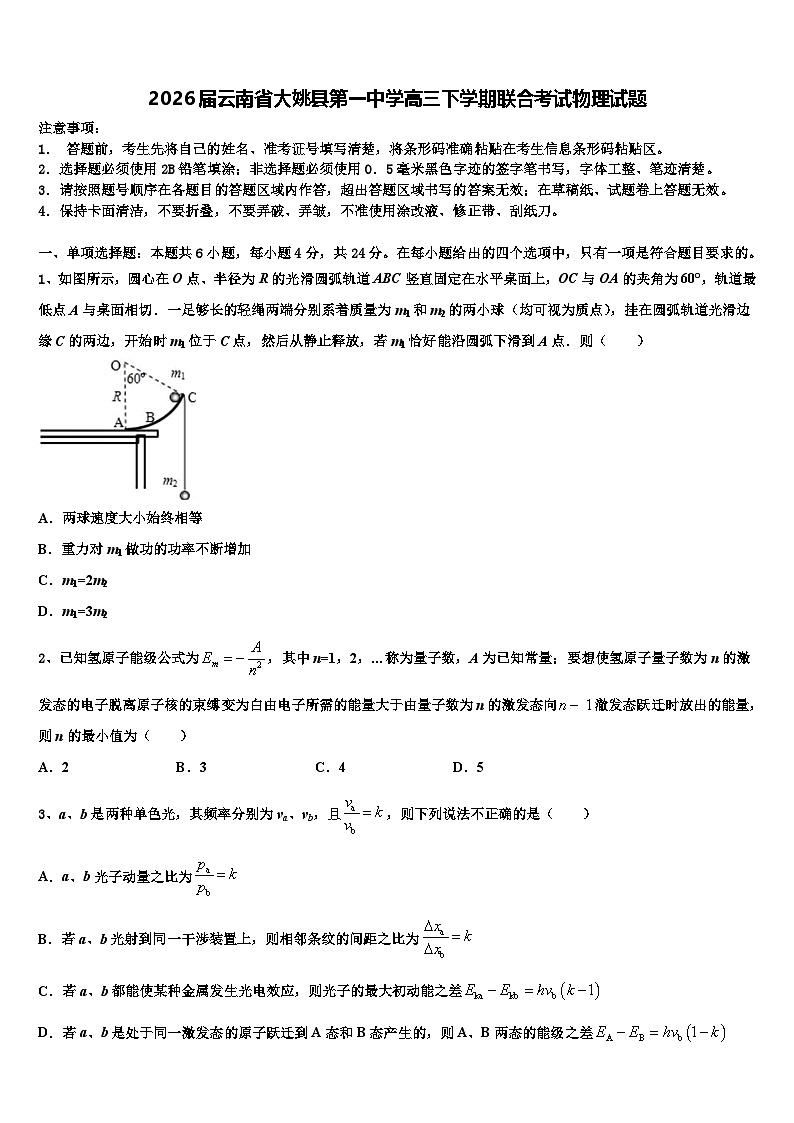 2026届云南省大姚县第一中学高三下学期联合考试物理试题含解析第1页