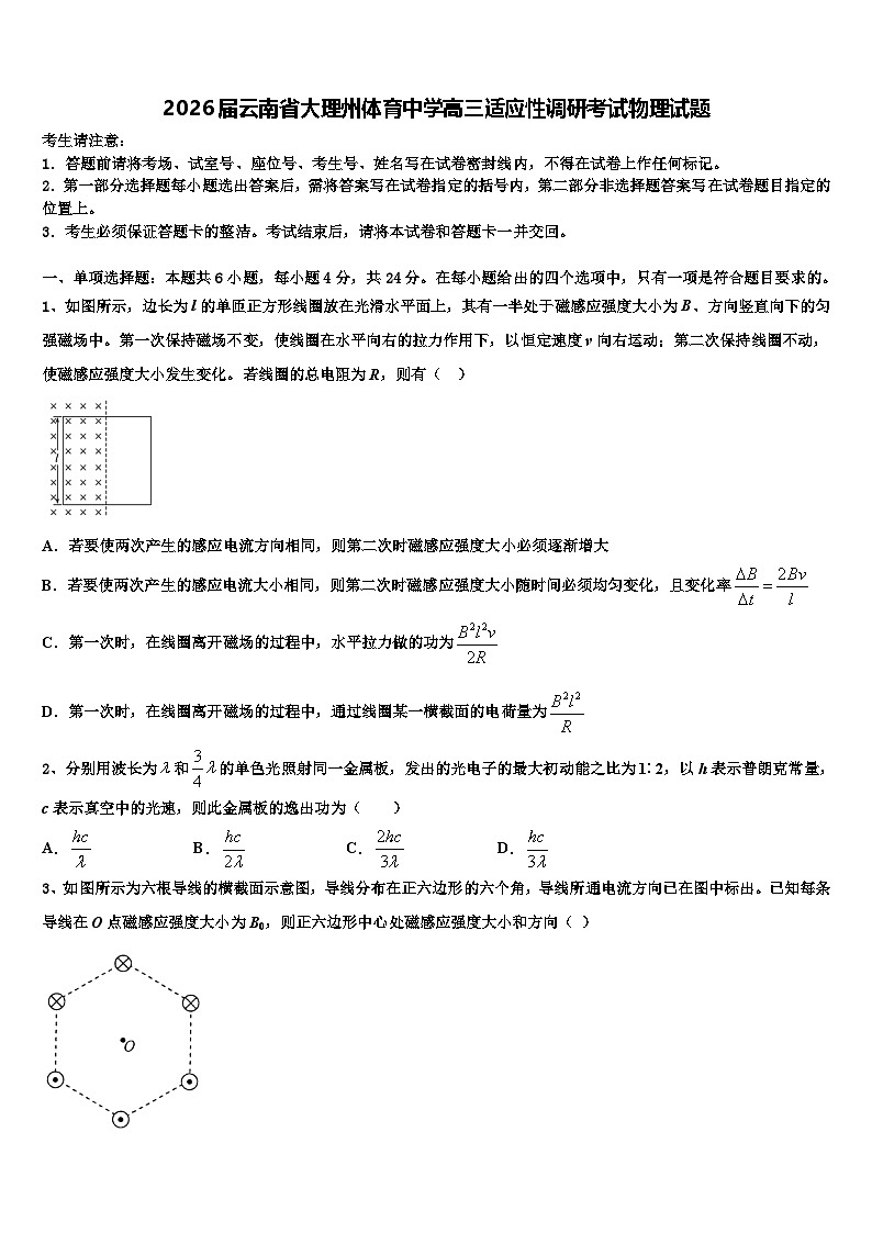 2026届云南省大理州体育中学高三适应性调研考试物理试题含解析第1页