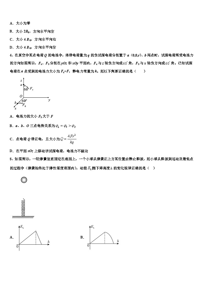 2026届云南省大理州体育中学高三适应性调研考试物理试题含解析第2页