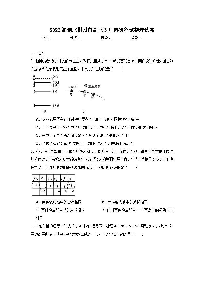 2026年湖北荆州市高三3月调研考试物理试卷（无答案）第1页