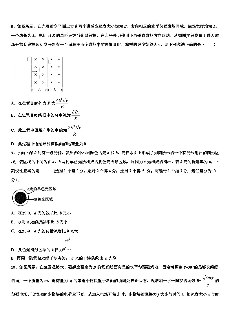 2026届浙江省丽水地区四校高考压轴卷物理试卷含解析第3页